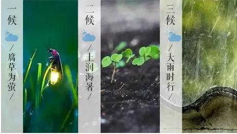 二十四节气/大暑—暑气至浓 万物盛极 内蒙古大暑期间 雨热同在 ‌气温较高