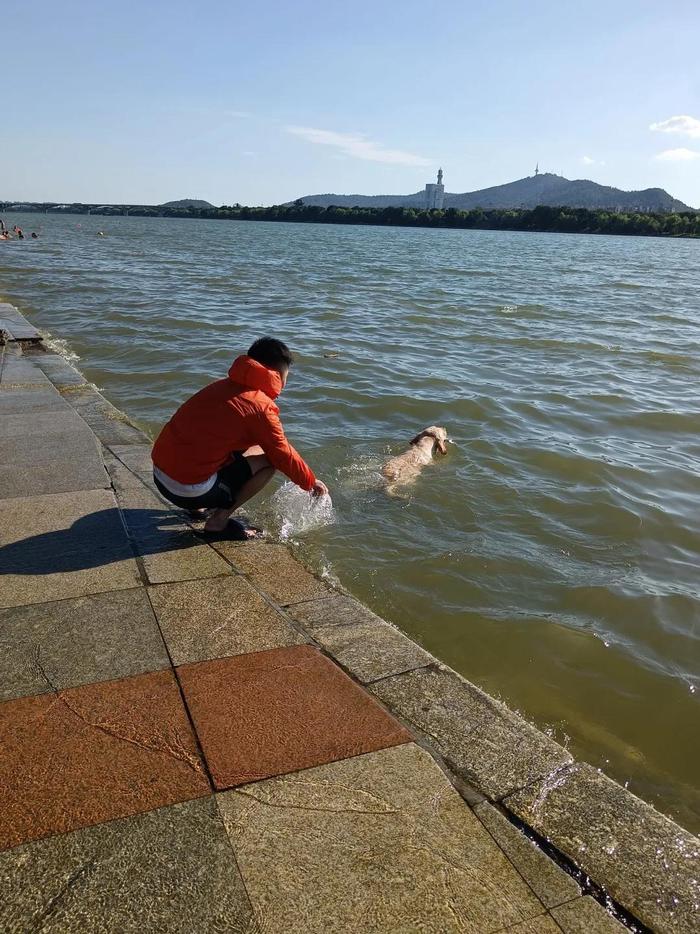 长沙这些看“海”点藏不住了，打卡要注意……