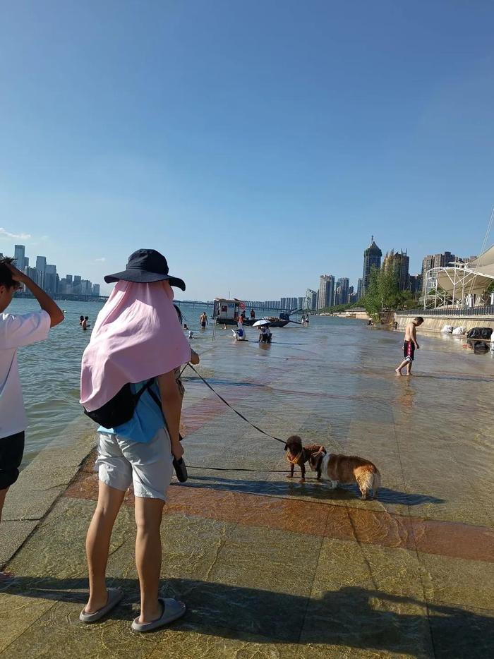 长沙这些看“海”点藏不住了，打卡要注意……