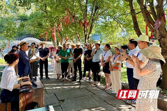 海外华媒“打卡”历史文化名城永州 领略自然之美与人文之韵