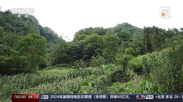 6至8月地质灾害多发，如何防范避险？