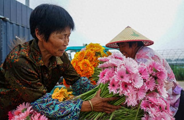 小鲜花 大效益