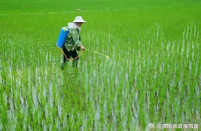 本周天气对农业生产影响及建议