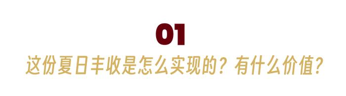 广东这个高校一出手，种出巨香的米