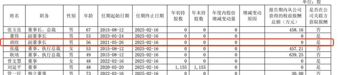 世界500强企业突发公告：副董事长胡欣被查！