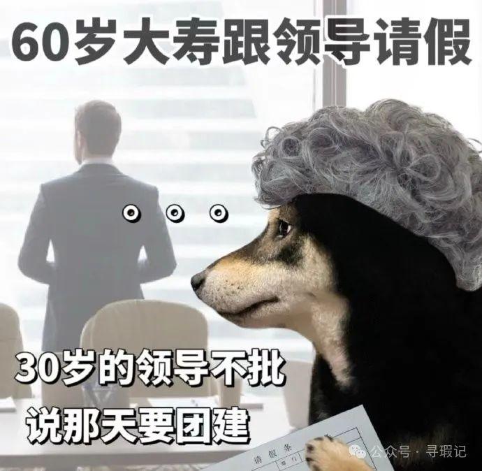 65岁金融人的一天