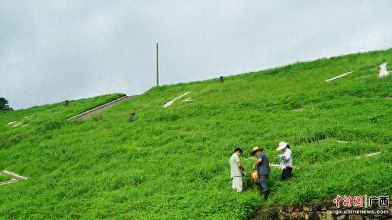 广西横州驻村工作队化身护村队 筑牢防汛“红色堤坝”