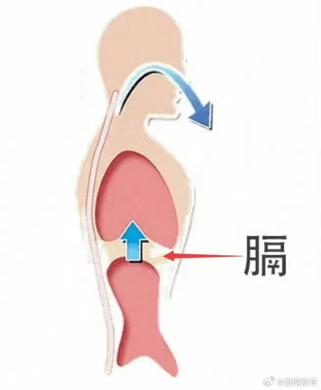 中医解释为什么有人会上热下寒