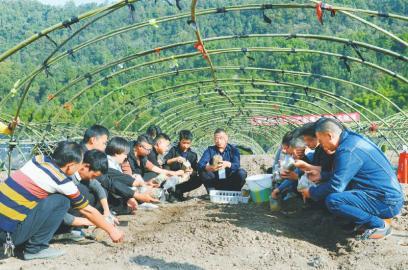 办好人民满意的开放大学 在教育强省建设中勇立新功