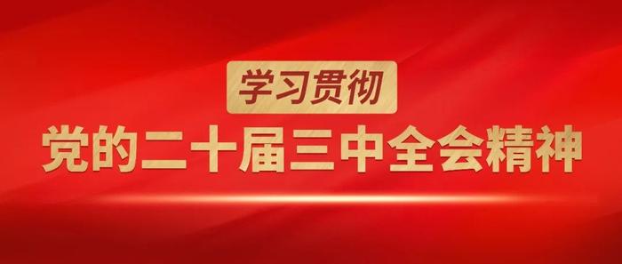 市政协党组学习贯彻党的二十届三中全会精神