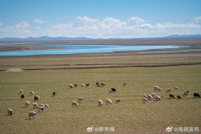 西藏第一大湖色林错夏日风光