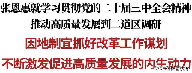 张恩惠就学习贯彻党的二十届三中全会精神，推动高质量发展到二道区调研