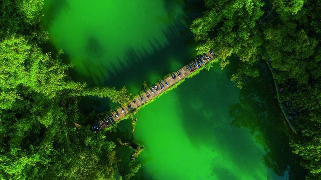 避暑到贵州：当夏日“松弛感”成为一个省份的辨识度