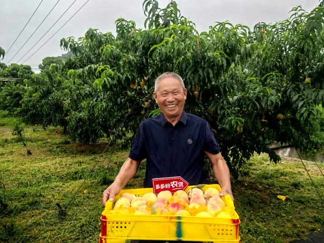 “坏了包赔”的阳山水蜜桃，让六旬老人、返乡青年过上甜蜜日子