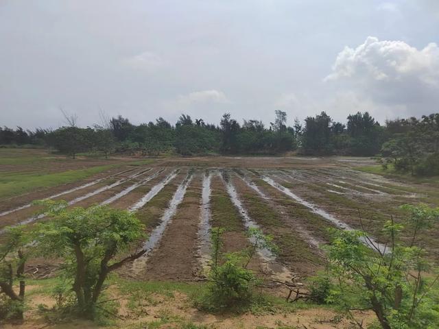 经开区检察：养殖尾水渗淹农田，公益诉讼破解难题