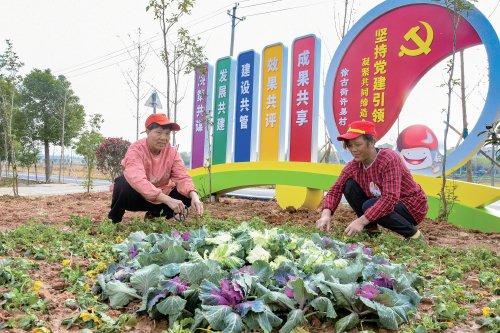 创新乡村治理体系　走好乡村善治之路