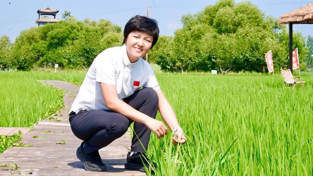 “种米姑娘”领跑乡村振兴致富路