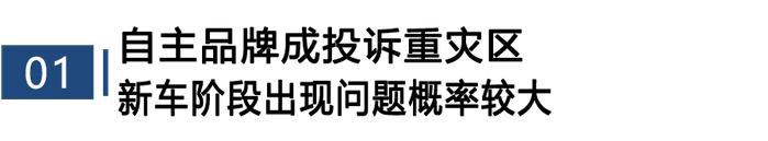 汽车漆面起泡开裂投诉高企 自主品牌陷危机