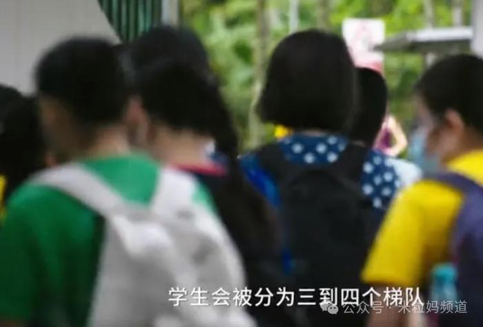 三个香港小学生，暴露了整个东亚最不堪的内幕