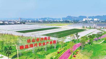 向石要地、藏粮于技 打造更高水平“天府粮仓”的沙湾实践