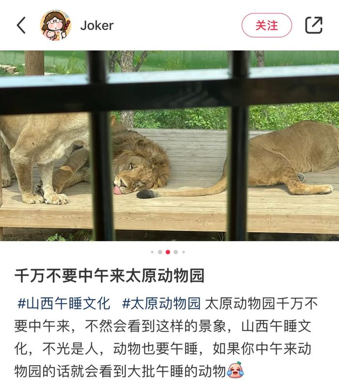 山西的“带薪午睡”，北上广白领羡慕哭了