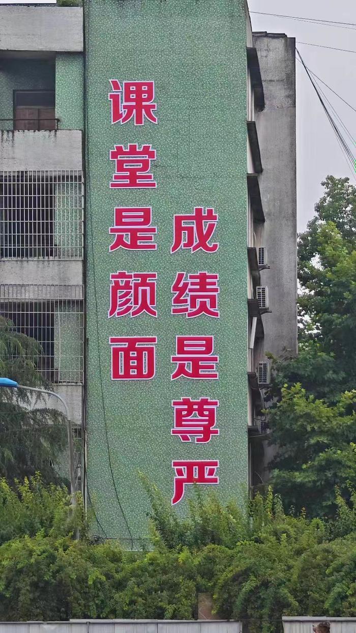 校园铁丝网，能托住下坠的孩子吗？