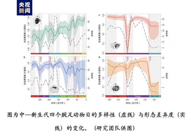 这种动物曾“统治”海洋 为何如今很难见到？