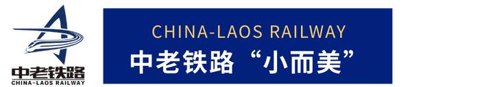 “两日休闲游”“周末游”！中老铁路开启短途旅行新模式