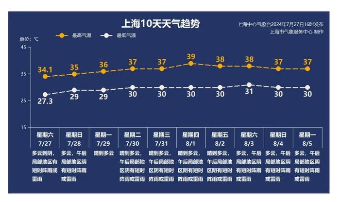 上海昨日大风一棵行道树突然折断，一名“闪送”小哥被砸身亡