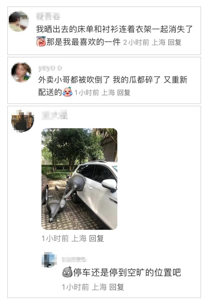 上海昨日大风一棵行道树突然折断，一名“闪送”小哥被砸身亡