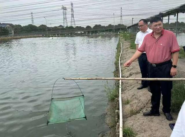 上海海洋大学学生暑期“水上”科技小院养虾变身“少塘主”