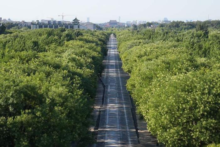 北京中轴线申遗成功！40张最美图片珍藏