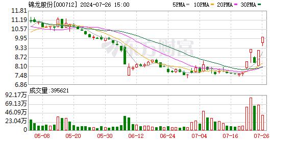 5天4板！锦龙股份正式挂牌转让东莞证券20%股权