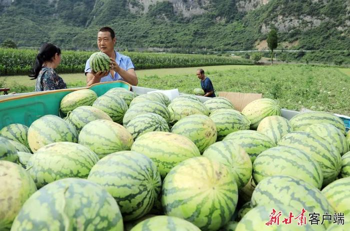 丰收的颜色有多惊艳？