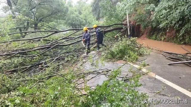 湖南多地雨量破当地极值，交通部门打通“生命通道”驰援灾区