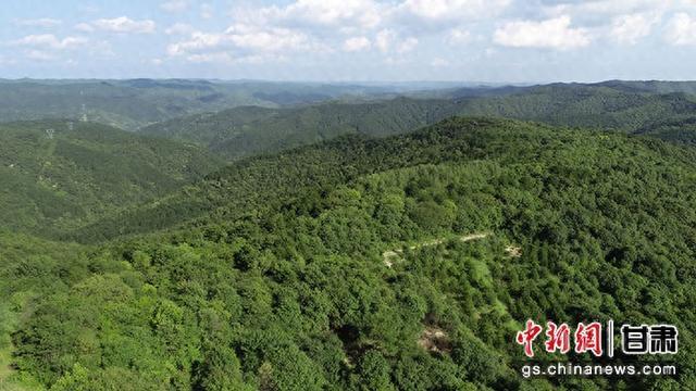 甘肃首个林业碳汇项目在全国自愿减排交易系统开户成功