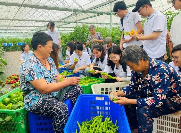 绿色发展赋能乡村振兴 西南大学暑期社会实践队走进重庆铜梁