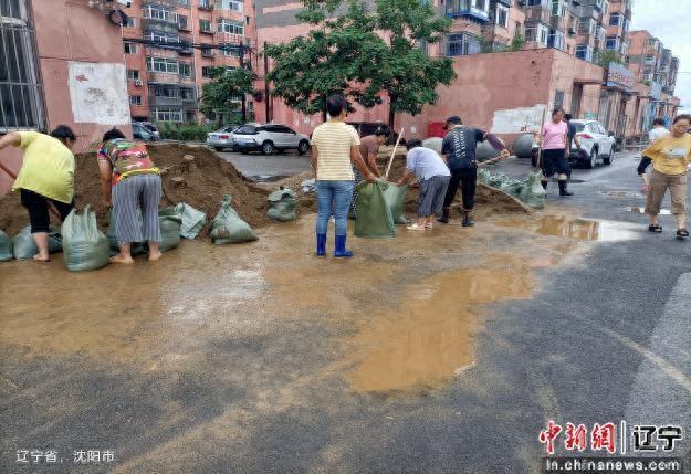 以“迅”应“汛” 沈阳苏家屯区“志愿红”闪耀防汛一线