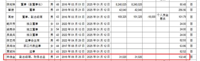 吉比特副总林佳金去年薪酬132.48万元 比原上司陈拓琳还高不少