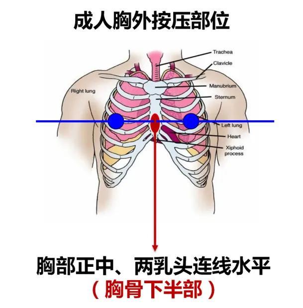 惊险！女演员片场紧急出手……