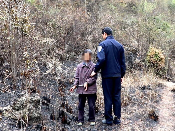 卢某平（女、贵州黔南人），报复蚂蚁放火烧山！法院判了→