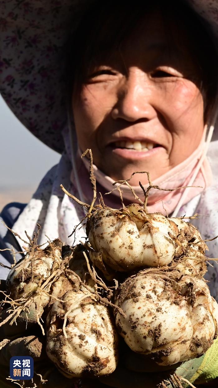 🥬🥦🥔没看错吧！博物馆还能“煮”麻辣烫？