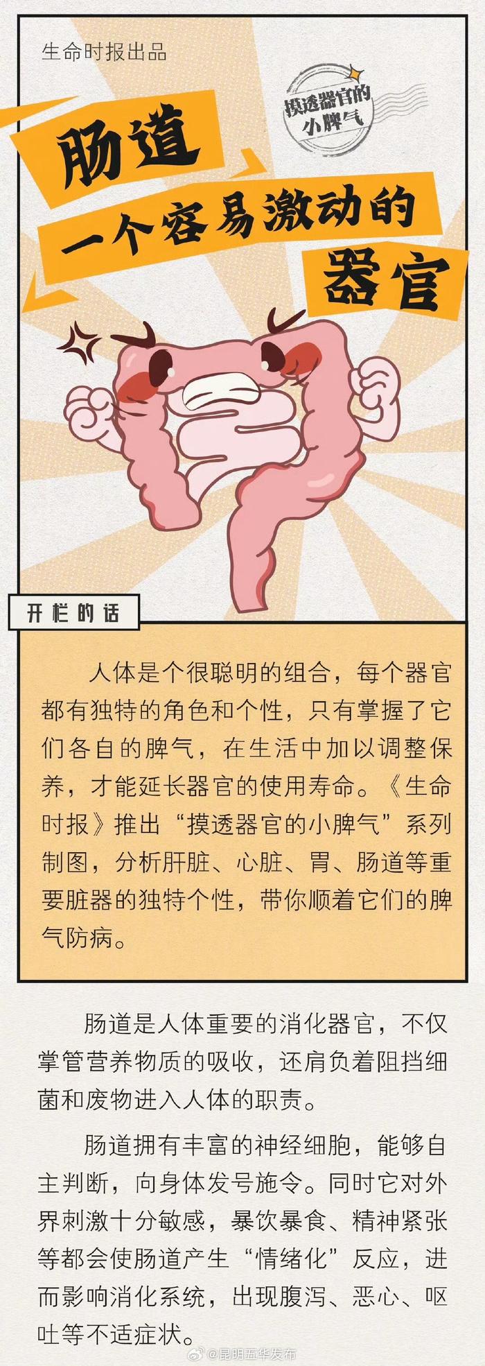 肠道是个易激动的器官