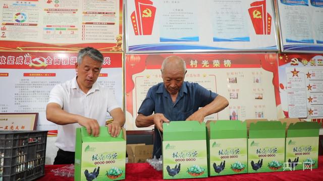 河南睢县：农村庭院散养土鸡成群众致富“提款鸡”