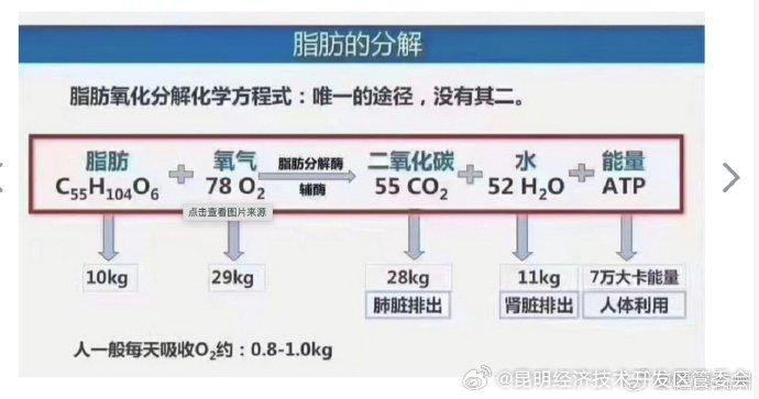 不懂就问！减掉的脂肪都去哪了