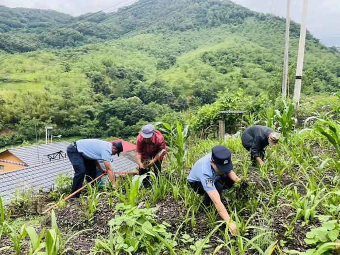 他们用“一颗热心”换取群众的“一片安心”