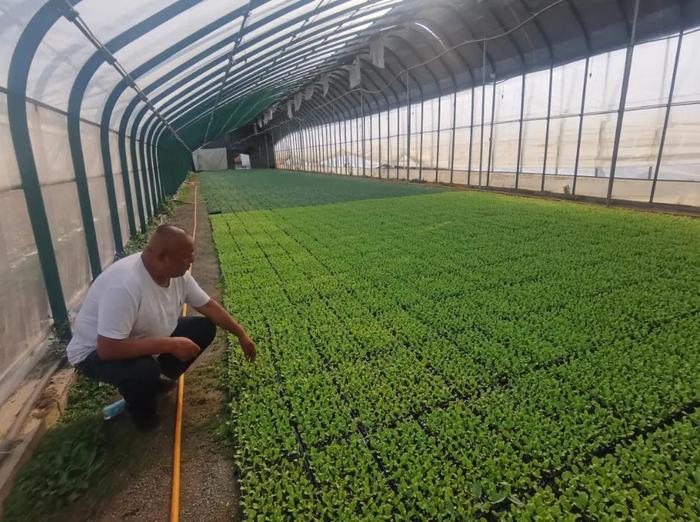 大环境营造生活小美好，好产业铺就群众幸福路！永登县柳树镇牌路村主动发力绘就乡村振兴新画卷