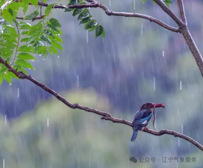 短暂休整后，强降雨再次来袭，西北部有暴雨