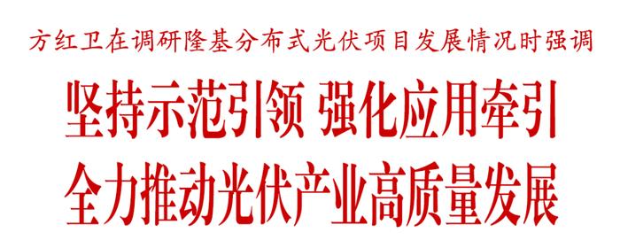 方红卫调研隆基分布式光伏项目发展情况