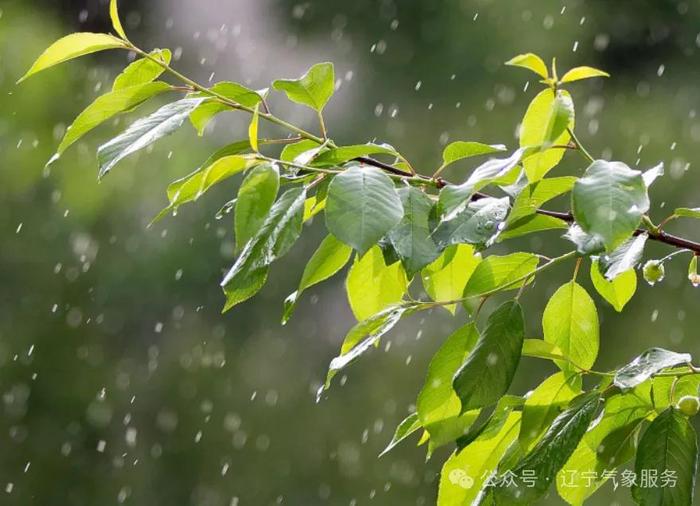 短暂休整后，强降雨再次来袭，西北部有暴雨